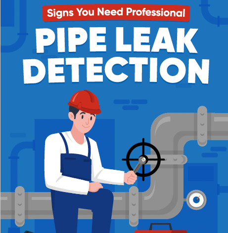 Signs_You_Need_Professional_Pipe_Leak_Detection Infographic