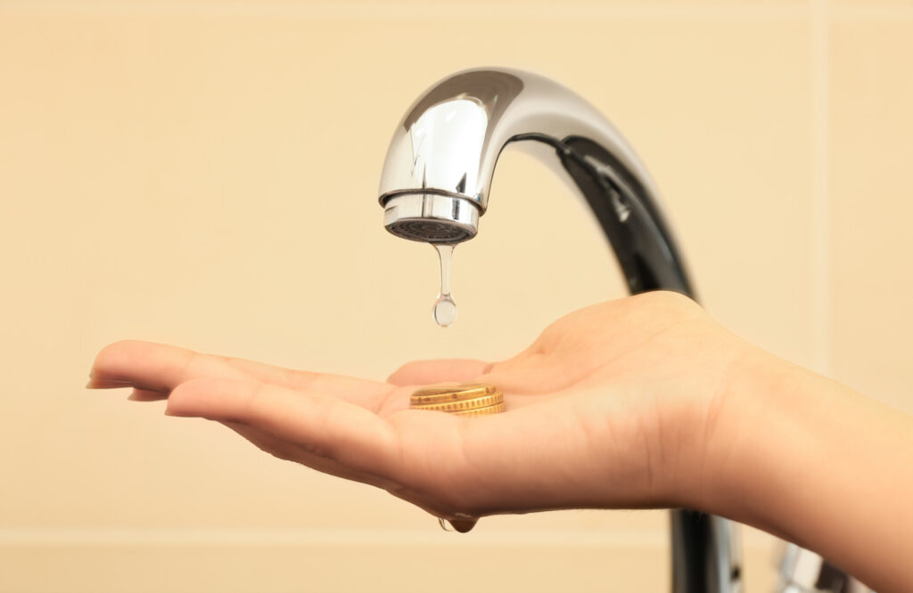 10 Ways to Conserve Water in Your Millbrook, AL Home